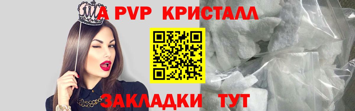 A PVP крисы CK Луга