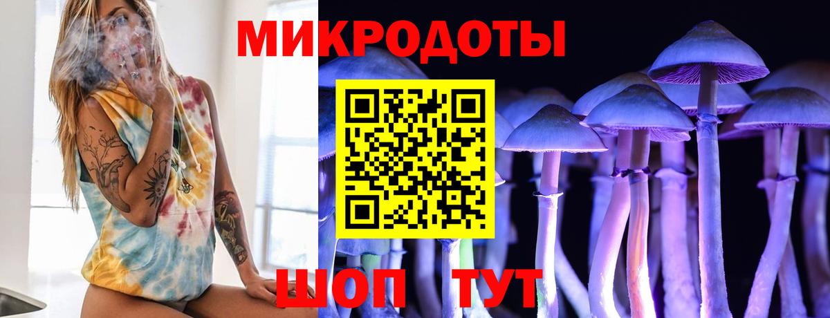 Псилоцибиновые грибы Psilocybine cubensis Луга
